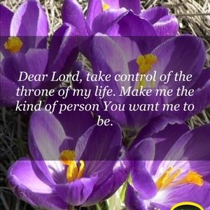 Meet your Posher, Alena